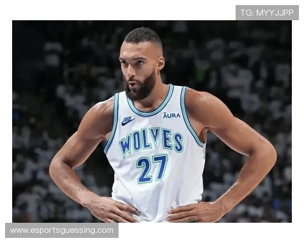 戈贝尔防守效率值联盟顶级，森林狼内线依赖